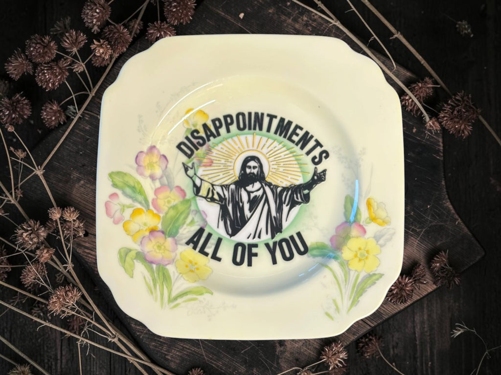Vintage plate with the words Disappointments. All of You.