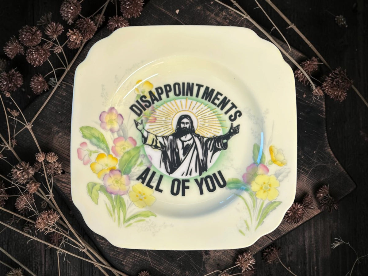 Vintage plate with the words Disappointments. All of You.