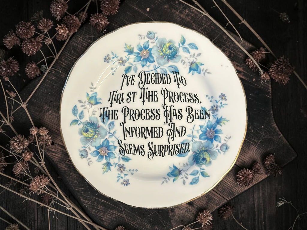 Vintage plate with the words I've Decided to Trust the Process. The Process Has Been Informed and Seems Surprised.