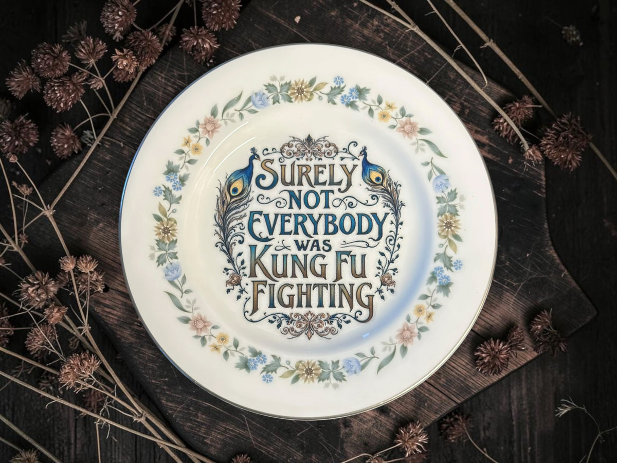 Vintage decorative plate reading Surely Not Everybody Was Kung Fu Fighting