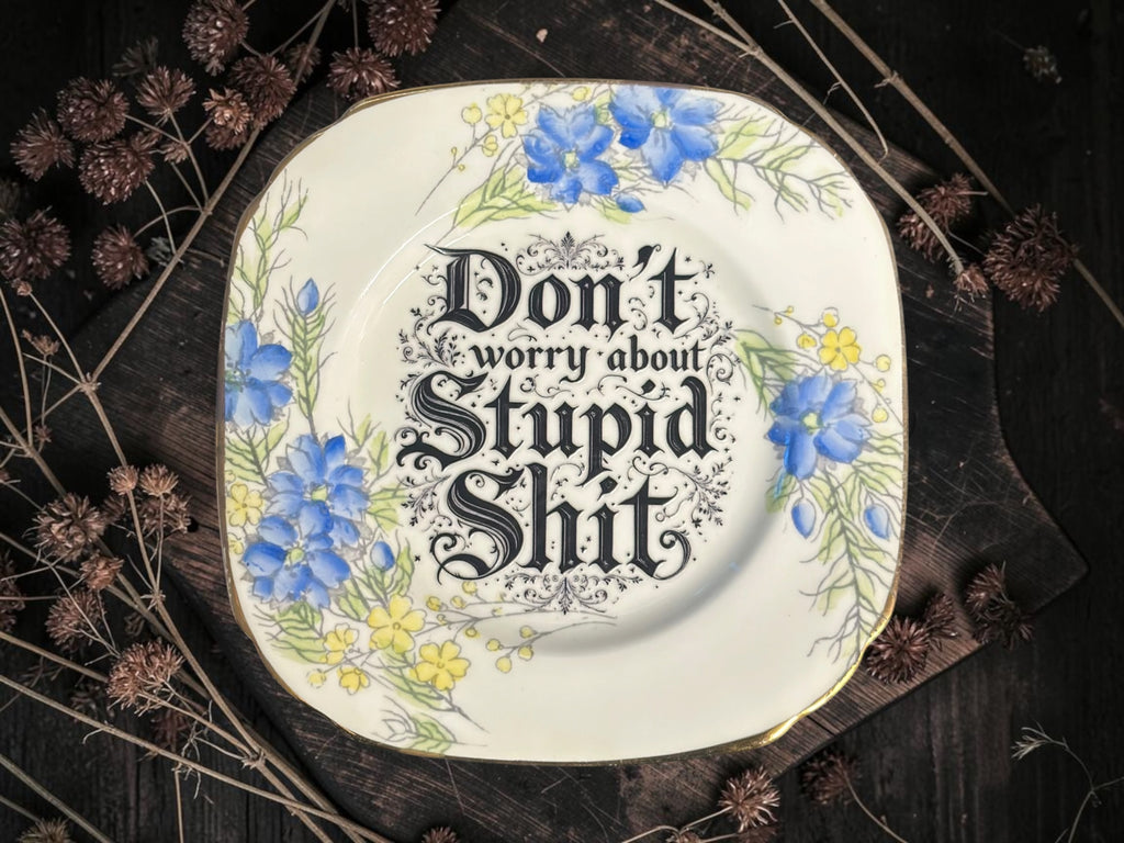 Vintage decorative plate featuring Don't Worry About Stupid Shit