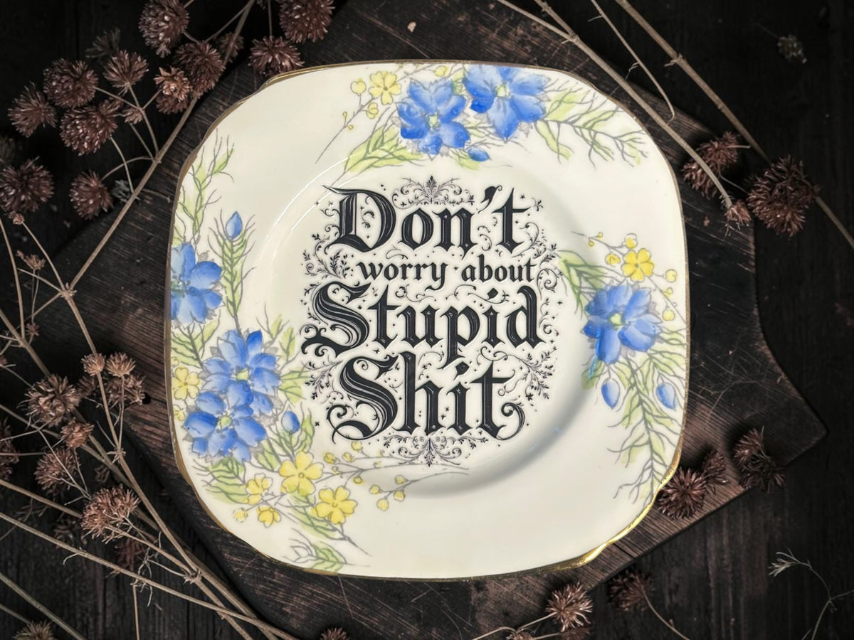 Vintage decorative plate featuring Don't Worry About Stupid Shit
