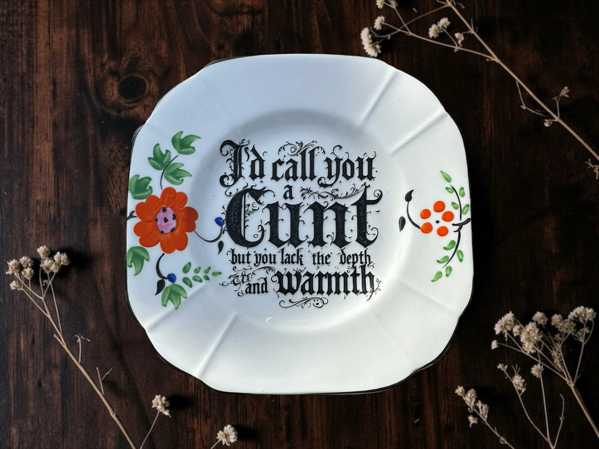 I'd Call You a Cunt But You Lack the Warmth