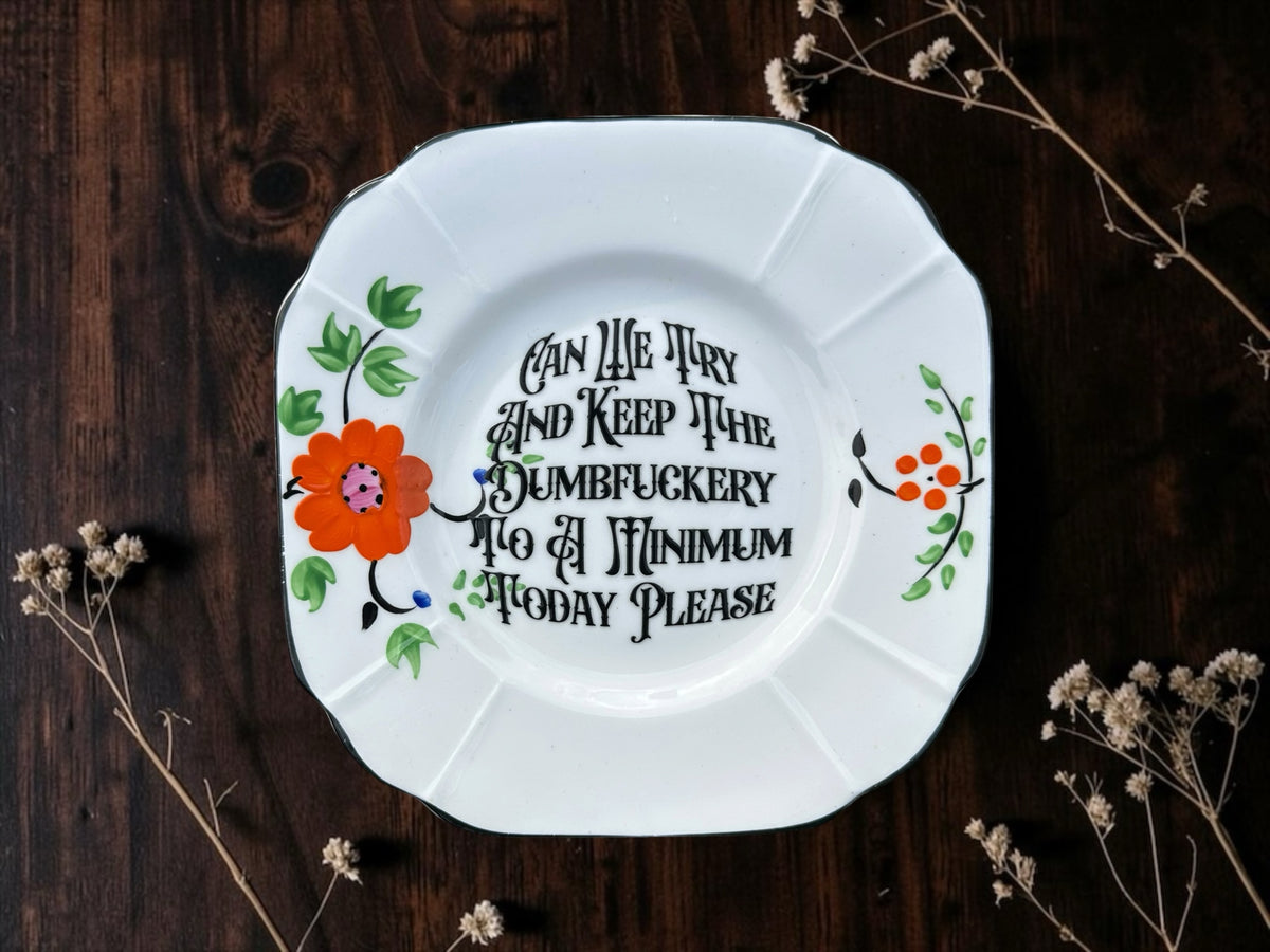 Can We Try and Keep the Dumbfuckery to a Minimum Today Please