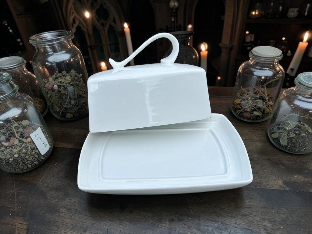Emergency Lube Butter Dish Funny Kitchen Decor Rude Butter with Lid Inappropriate Housewarming Gift Novelty Kitchenware Sarcastic Kitchen