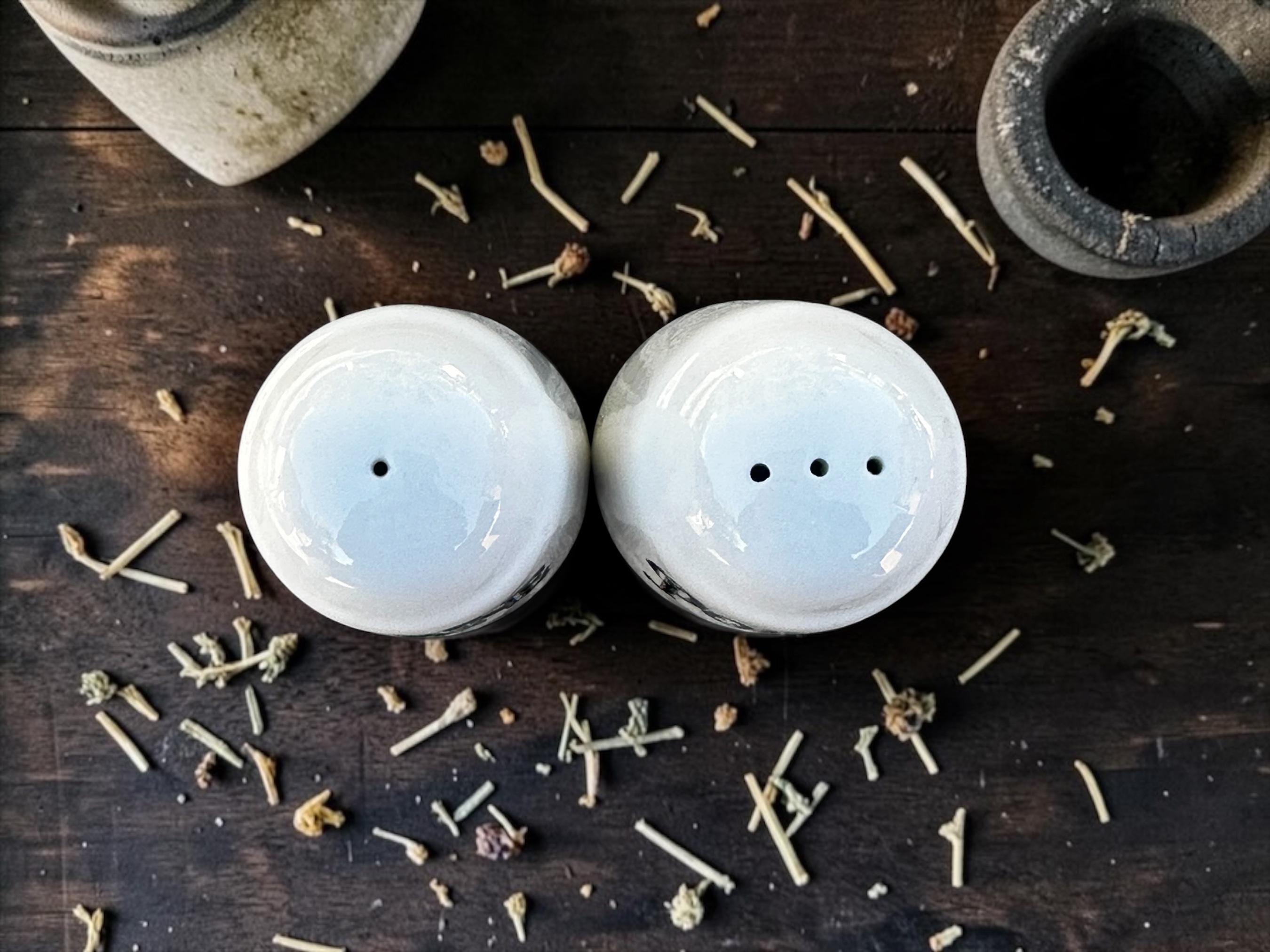 Cyanide & Arsenic Salt and Pepper Shakers | Funny Gothic Kitchen Decor | Dark Humour Gift | Alternative Homeware