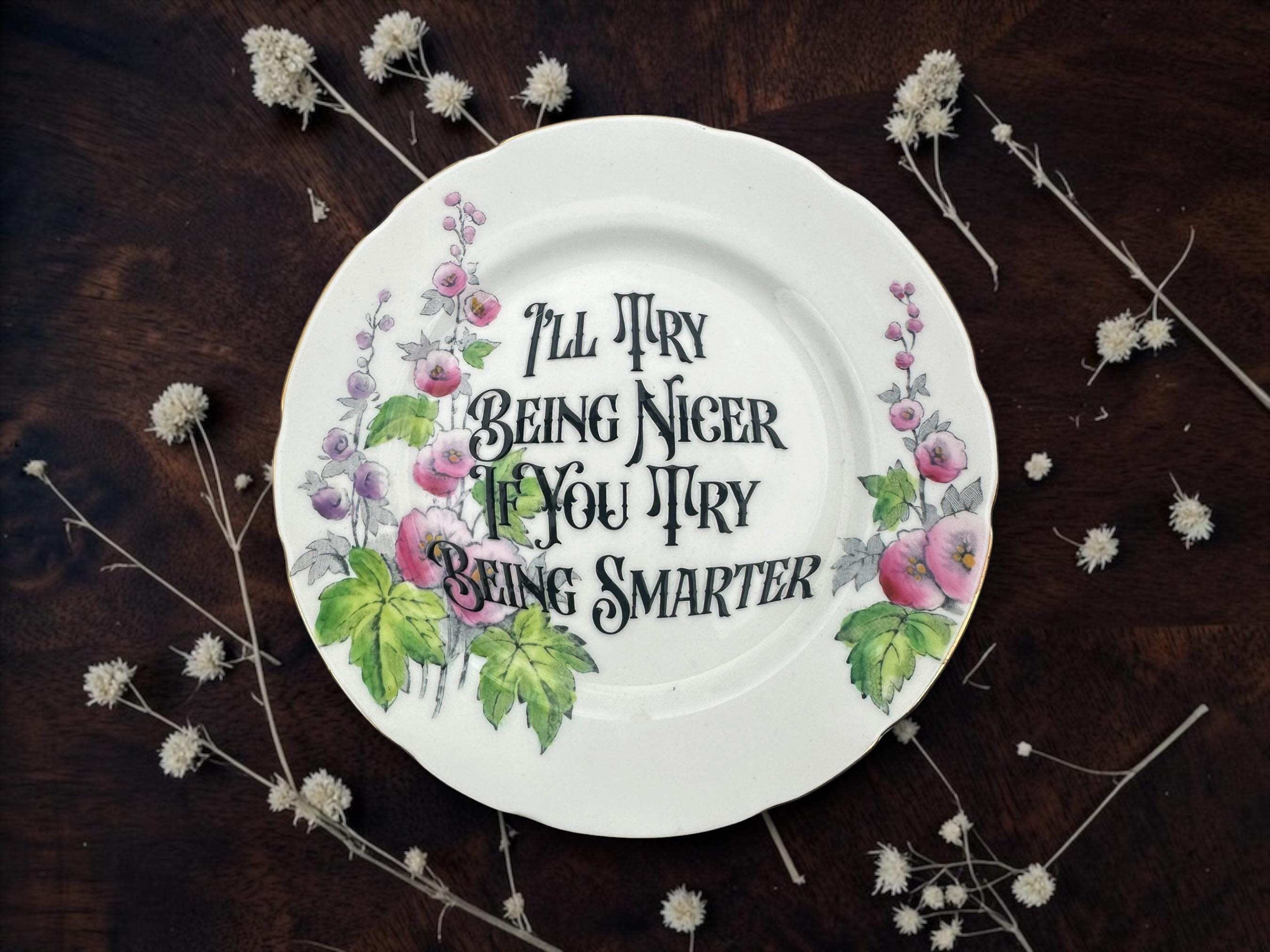Ill Try Being Nicer If You Try Being Smarter Vintage Plate  Vintage Crackpottery with stand