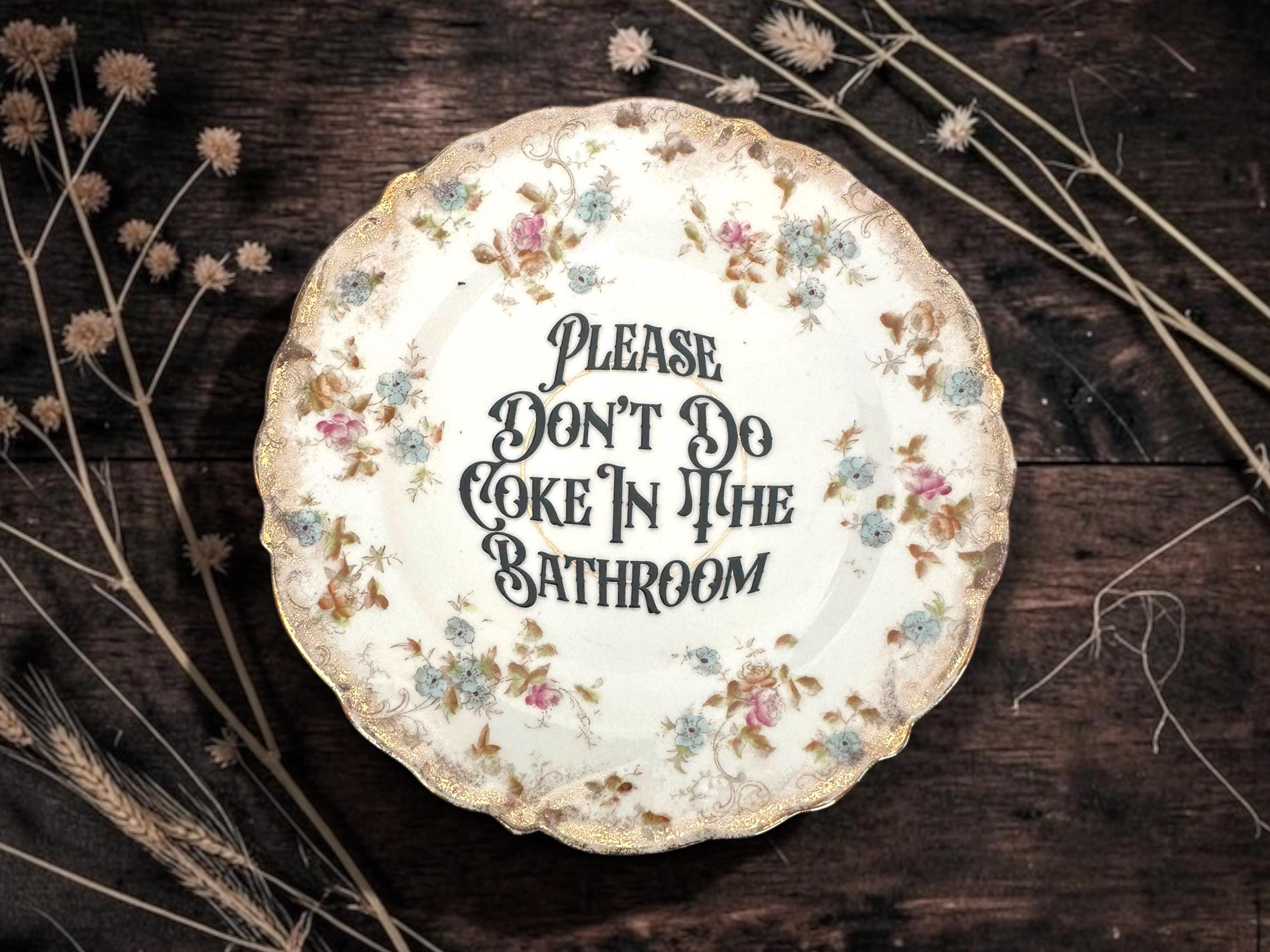 Please Dont Do Coke in the Bathroom | Vintage Dark Humour Saucer | Sarcastic Decor | 16cm