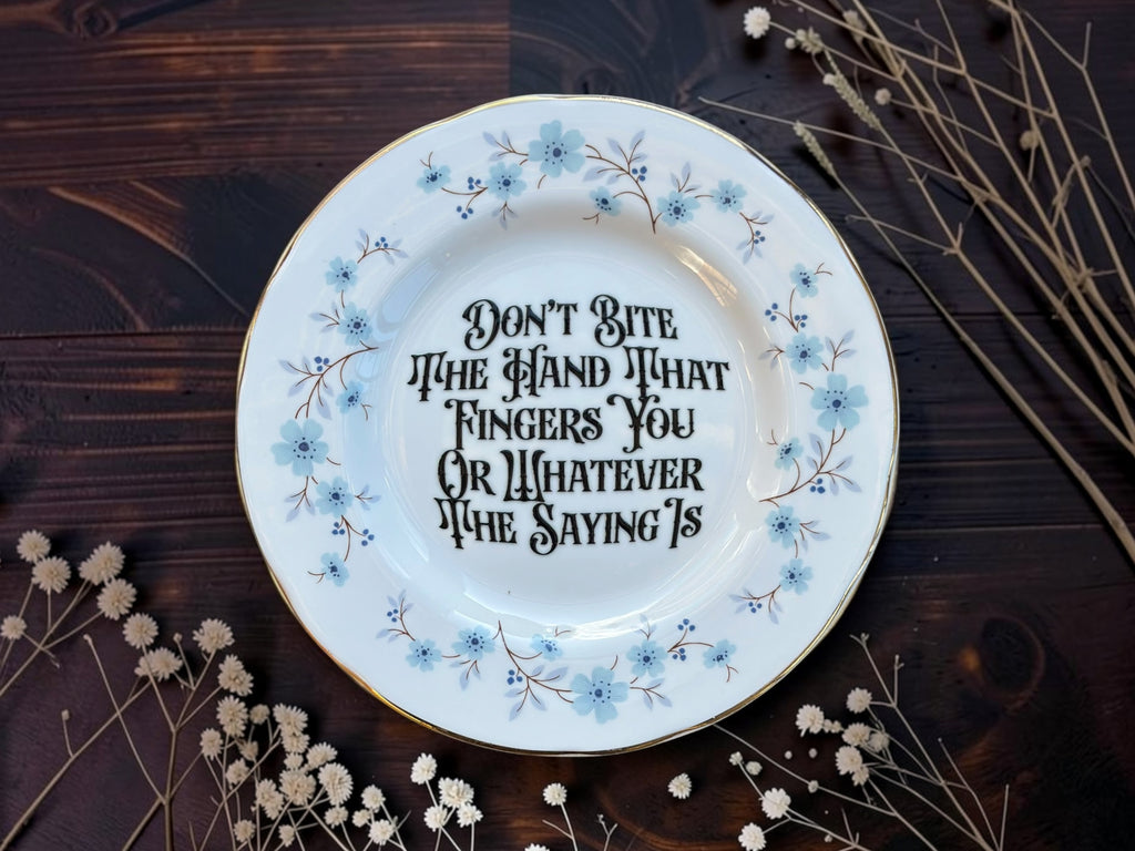 Blue floral vintage plate reading Don't Bite The Hand That Fingers You Or Whatever The Saying Is